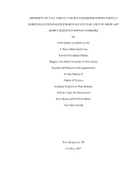 Diversity of Tall Fescue and Relationships Within Festuca