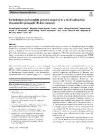 Identification and Complete Genomic Sequence of a Novel Sadwavirus