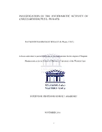 Investigation of the Antidiabetic Activity Of