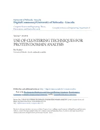 USE of CLUSTERING TECHNIQUES for PROTEIN DOMAIN ANALYSIS Eric Rodene University of Nebraska - Lincoln, Erodene@Cse.Unl.Edu
