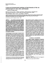 Conserved Chromosomal Positions of Dual Domains of the Ets Protooncogene in Cats, Mice, and Humans (Comparative Gene Mapping/Leukemia) DENNIS K