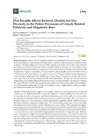 Diet Breadth Affects Bacterial Identity but Not Diversity in the Pollen
