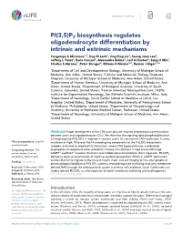 PI(3,5)P2 Biosynthesis Regulates Oligodendrocyte Differentiation By