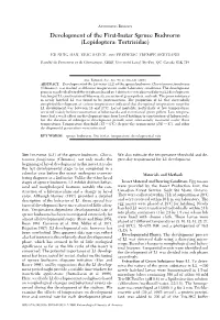 Development of the First-Instar Spruce Budworm (Lepidoptera: Tortricidae)