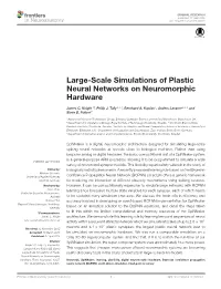 Large-Scale Simulations of Plastic Neural Networks on Neuromorphic Hardware