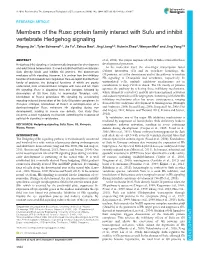 Members of the Rusc Protein Family Interact with Sufu and Inhibit