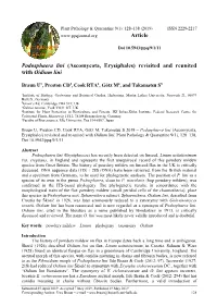 Podosphaera Lini (Ascomycota, Erysiphales) Revisited and Reunited with Oidium Lini