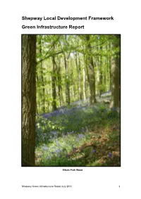 Shepway Green Infrastructure Report 2011