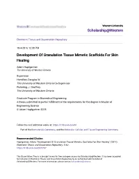 Development of Granulation Tissue Mimetic Scaffolds for Skin Healing