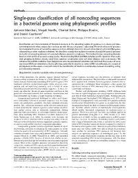 Single-Pass Classification of All Noncoding Sequences in a Bacterial Genome Using Phylogenetic Profiles