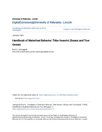 Handbook of Waterfowl Behavior: Tribe Anserini (Swans and True Geese)