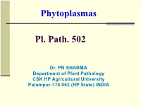 Pl Path 502 Phytoplasma