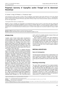 Polyphasic Taxonomy of Aspergillus Section Fumigati and Its Teleomorph Neosartorya
