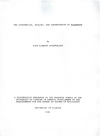 The Systematics, Biology, and Conservation of Solenodon