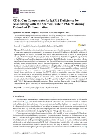 CD44 Can Compensate for Igsf11 Deficiency by Associating with The