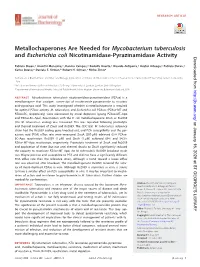 Metallochaperones Are Needed for Mycobacterium Tuberculosis And