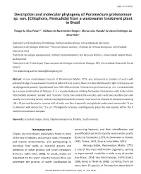 Description and Molecular Phylogeny of Paramecium Grohmannae Sp. Nov