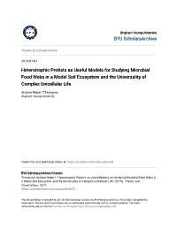 Heterotrophic Protists As Useful Models for Studying Microbial Food Webs in a Model Soil Ecosystem and the Universality of Complex Unicellular Life