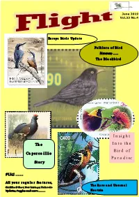 Insight Into the Bird of Paradise