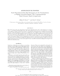 Role Played by Strike-Slip Structures in the Development of Highly Curved Orogens: the Transcarpathian Fault System, South Carpathians