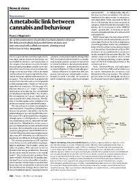 A Metabolic Link Between Cannabis and Behaviour