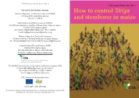 How to Control Striga and Stemborer in Maize Alternative Ways of Controlling Striga and Stemborer How Does a ‘Push-Pull’ System Work?