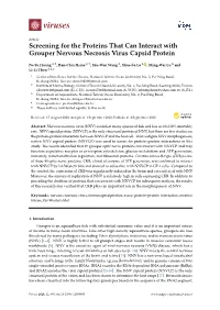 Screening for the Proteins That Can Interact with Grouper Nervous Necrosis Virus Capsid Protein