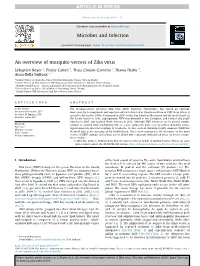 An Overview of Mosquito Vectors of Zika Virus