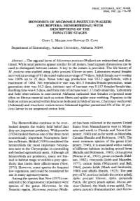 Bionomics of Micromus Posticus (Walker) (Neuroptera: Hemerobiidae) with Descriptions of the Immature Stages