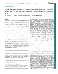 Nodal Signaling Is Required for Mesodermal and Ventral but Not For