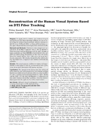 Reconstruction of the Human Visual System Based on DTI Fiber Tracking