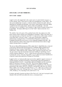 Site Synopsis