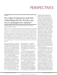 The Origin of Eukaryotes and Their Relationship with the Archaea: Are