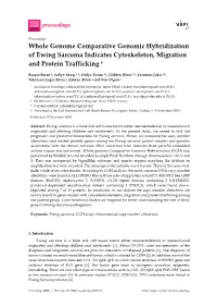 Whole Genome Comparative Genomic Hybridization of Ewing Sarcoma Indicates Cytoskeleton, Migration and Protein Trafficking †
