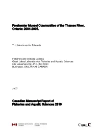 File Number / Numéro Du Dossier