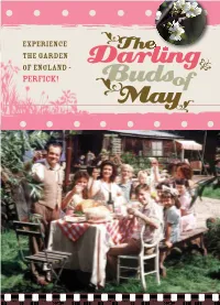The Darling Buds of May 8Pp A5 Brochure
