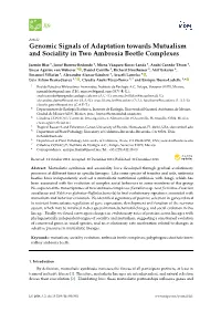 Genomic Signals of Adaptation Towards Mutualism and Sociality in Two Ambrosia Beetle Complexes
