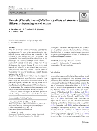 Phacelia (Phacelia Tanacetifolia Benth.) Affects Soil Structure Differently Depending on Soil Texture