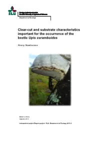 Clear-Cut and Substrate Characteristics Important for the Occurrence of the Beetle Upis Ceramboides
