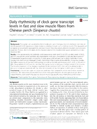Daily Rhythmicity of Clock Gene Transcript Levels in Fast and Slow