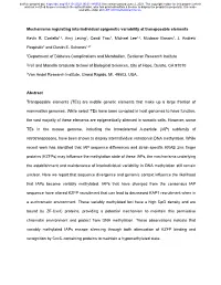 Mechanisms Regulating Interindividual Epigenetic Variability at Transposable Elements