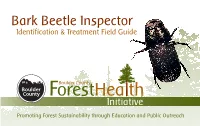 Bark Beetle Field Guide.Vp