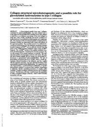 Collagen Structural Microheterogeneity and a Possible Role for Glycosylated Hydroxylysine in Type 1 Collagen