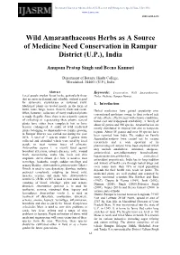 Wild Amaranthaceous Herbs As a Source of Medicine Need Conservation in Rampur District (U.P.), India