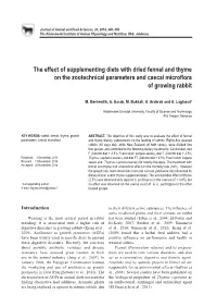 The Effect of Supplementing Diets with Dried Fennel and Thyme on the Zootechnical Parameters and Caecal Microflora of Growing Rabbit