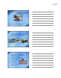 OKIBDLC LGLA Presentation