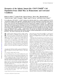 Homeostatic and Activated Conditions Cell