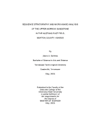 Sequence Stratigraphy and Micro-Image Analysis