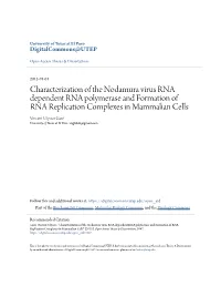 Characterization of the Nodamura Virus RNA Dependent RNA