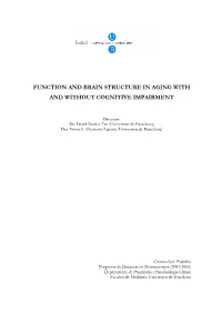 Function and Brain Structure in Aging with and Without Cognitive Impairment
